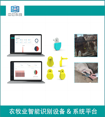 智能畜牧测温耳标管理系统