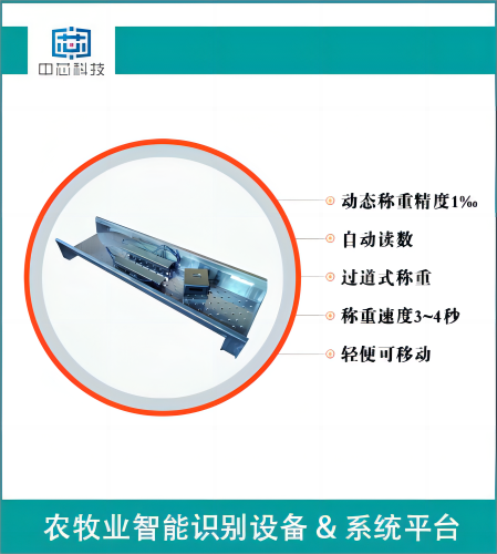 牛只移动式过道称
