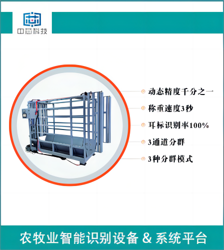 牛只全自动称重分群系统