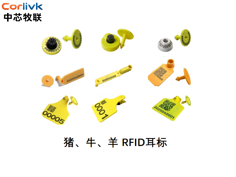 中芯牧联电子耳标：助力中国智慧畜牧产业升级的硬核之选